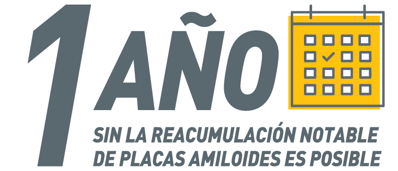 1 año sin la reacumulación notable de placas amiloides es posible